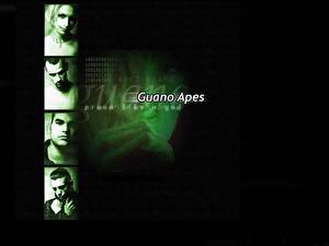 Bakgrundsbilder på skrivbordet Guano Apes Musik