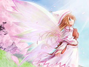 Pictures Angel Anime