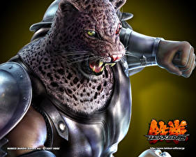 Photo Tekken vdeo game