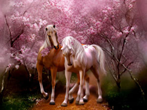 桌面壁纸，，馬匹，開花的樹，動物