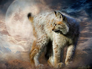 Photo Big cats Lynx Painting Art animal