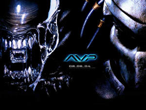 Bakgrundsbilder på skrivbordet AVP: Alien vs. Predator (film) Filmer