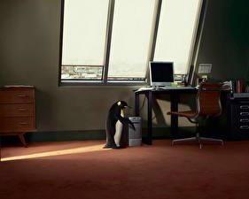 Bureaubladachtergronden Pinguïns Humor