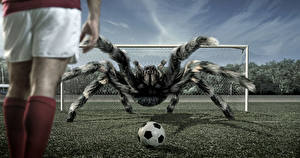 Bureaubladachtergronden De spin Voetbal Benen Sport