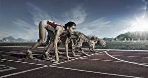 Bakgrundsbilder på skrivbordet Geparden Löpare Start Sport Unga_kvinnor